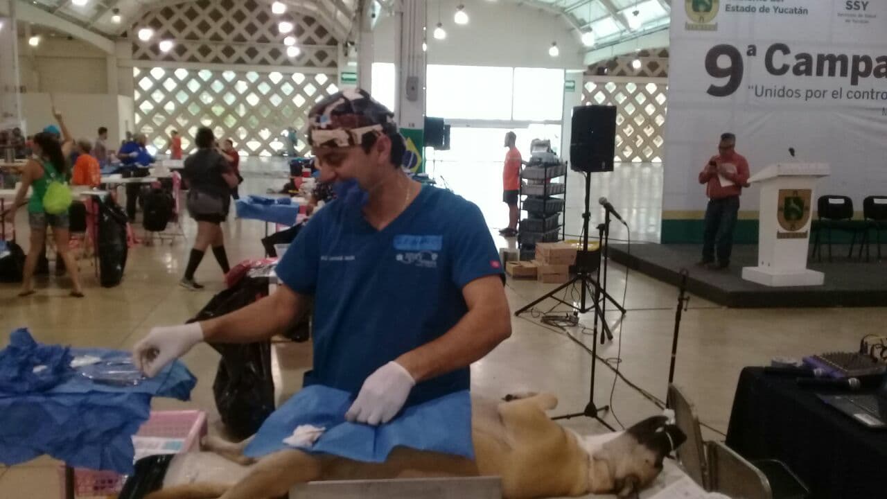 35773911 10204547856493181 766978032605855744 n