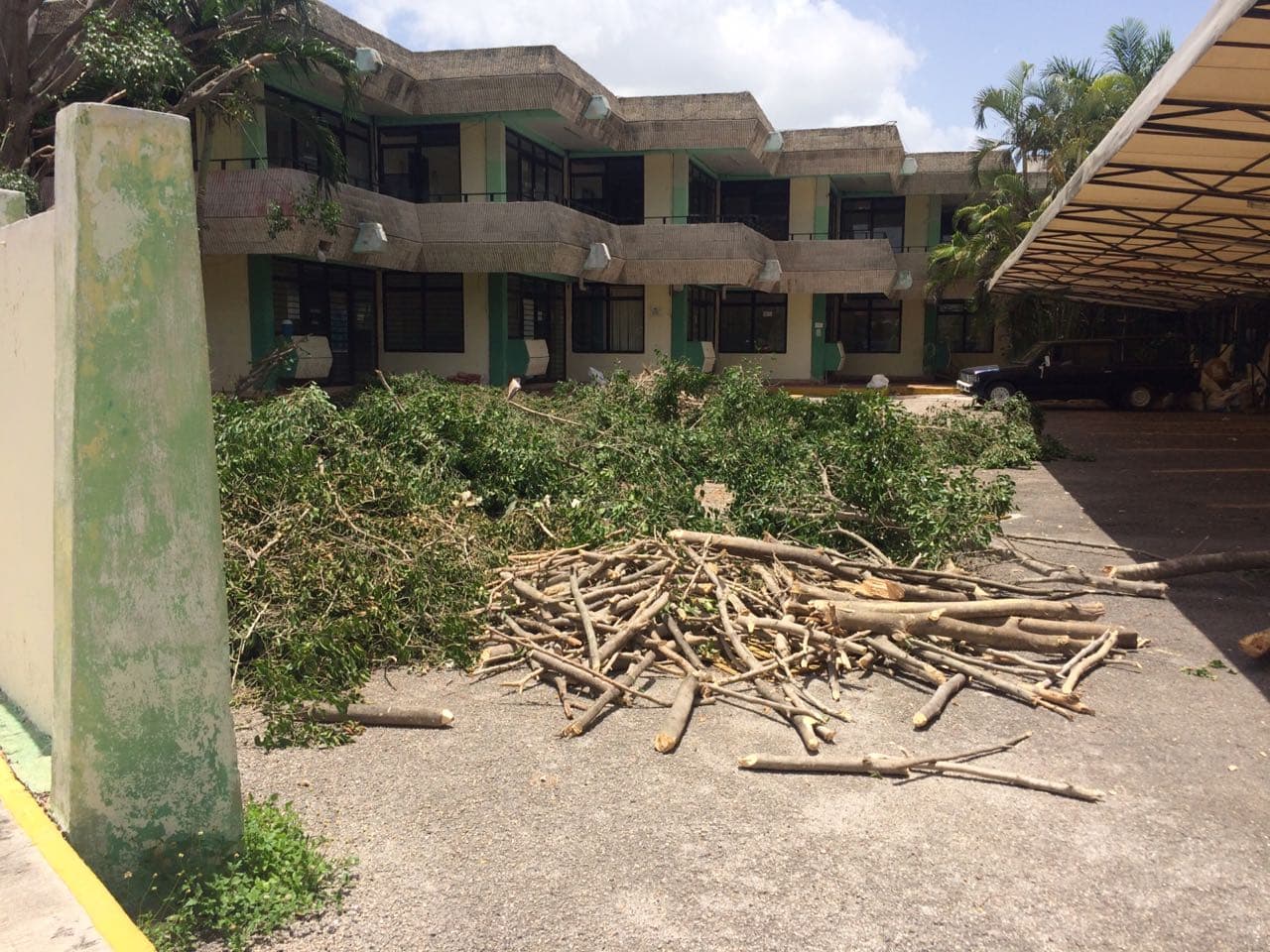 36717304 10204602678303692 7066387126627074048 n