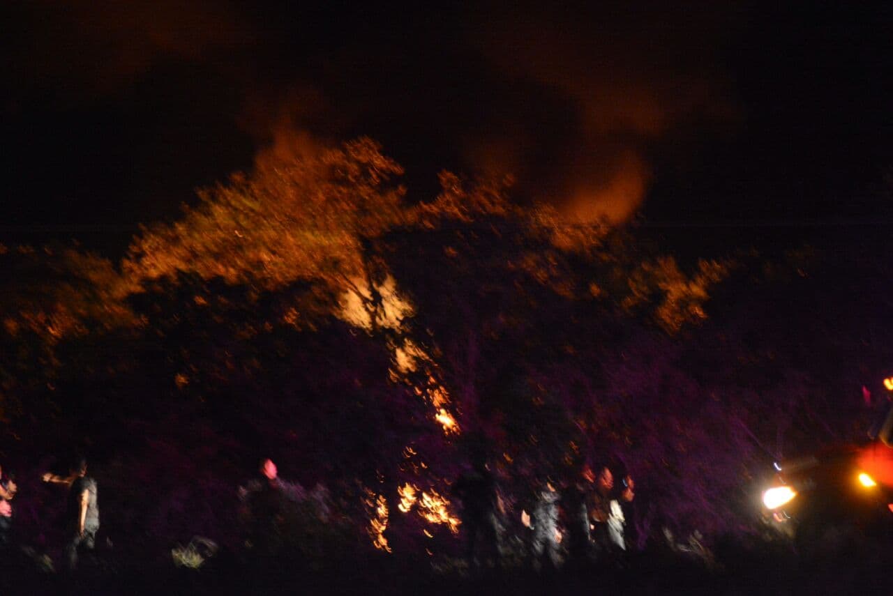 37348972 10204645997786652 641589902667939840 n