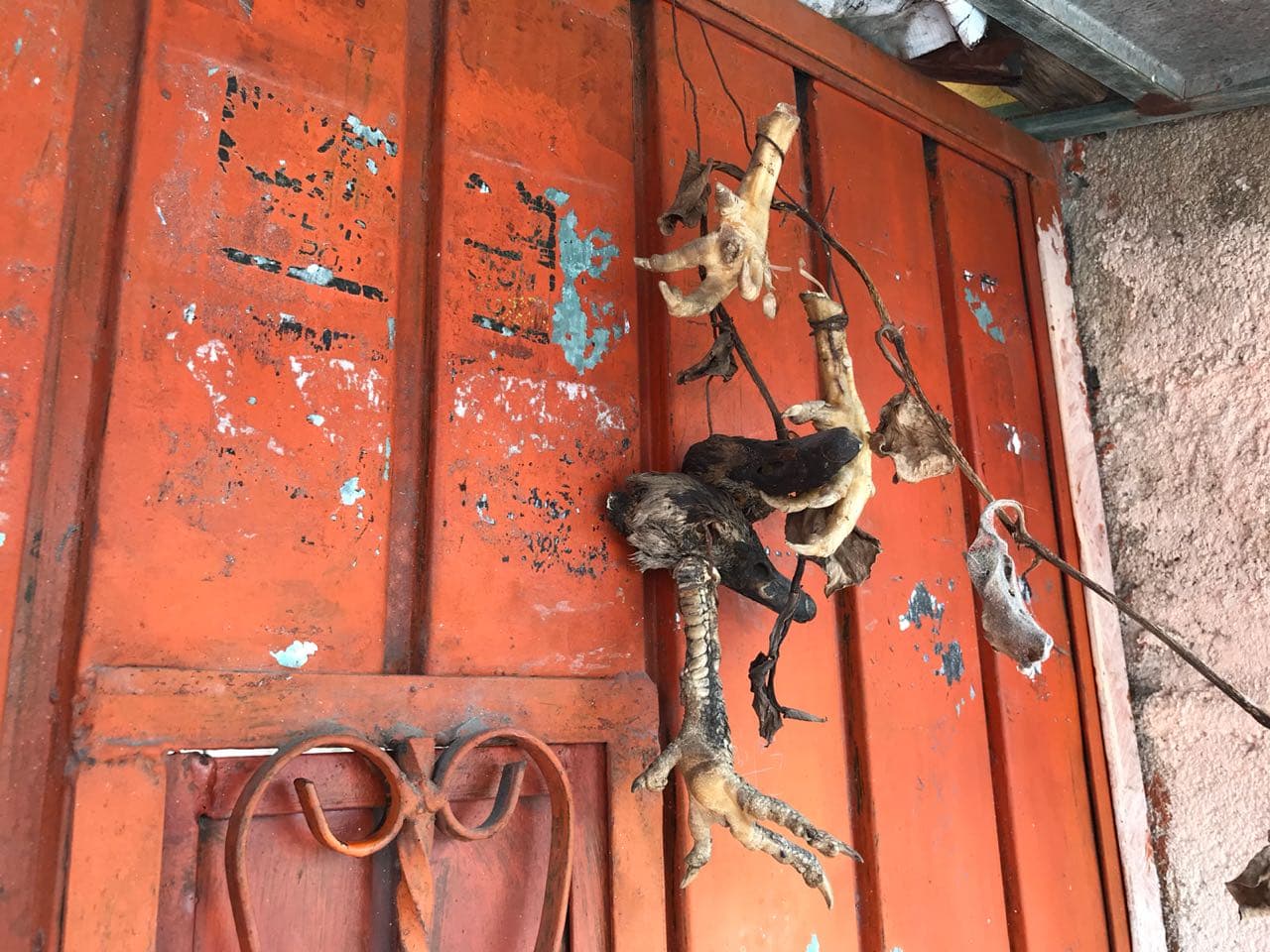 37375865 10204641468353419 4703267120748691456 n