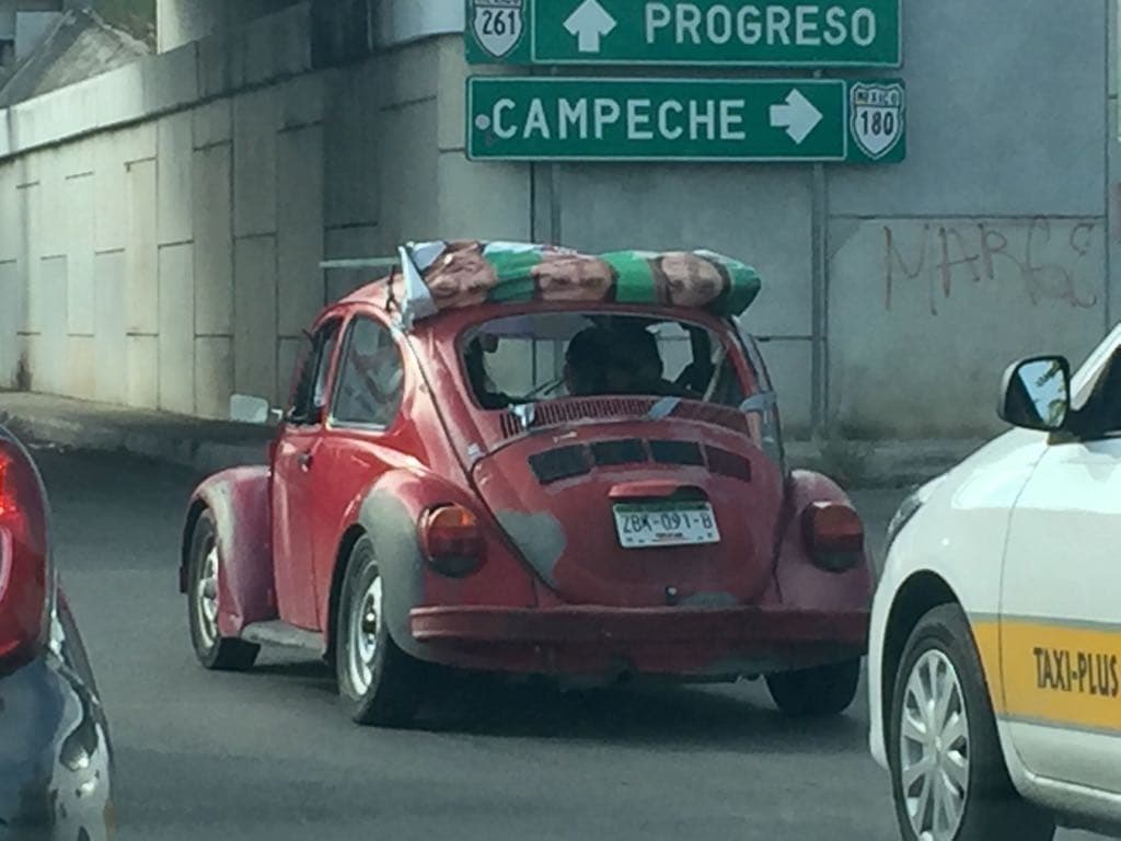 37933183 10204677919984687 2007705406230495232 n