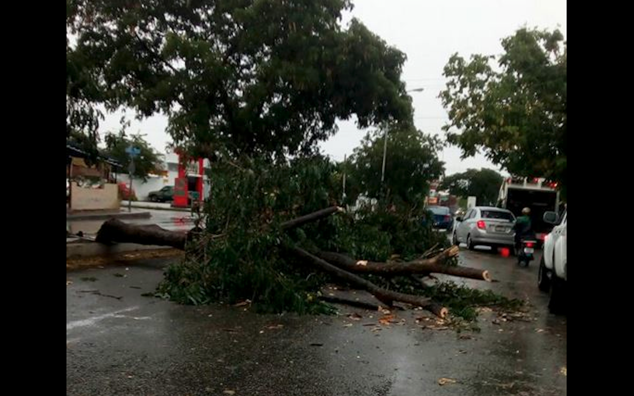 Captura de pantalla 2018 07 09 a la(s) 20.19.32