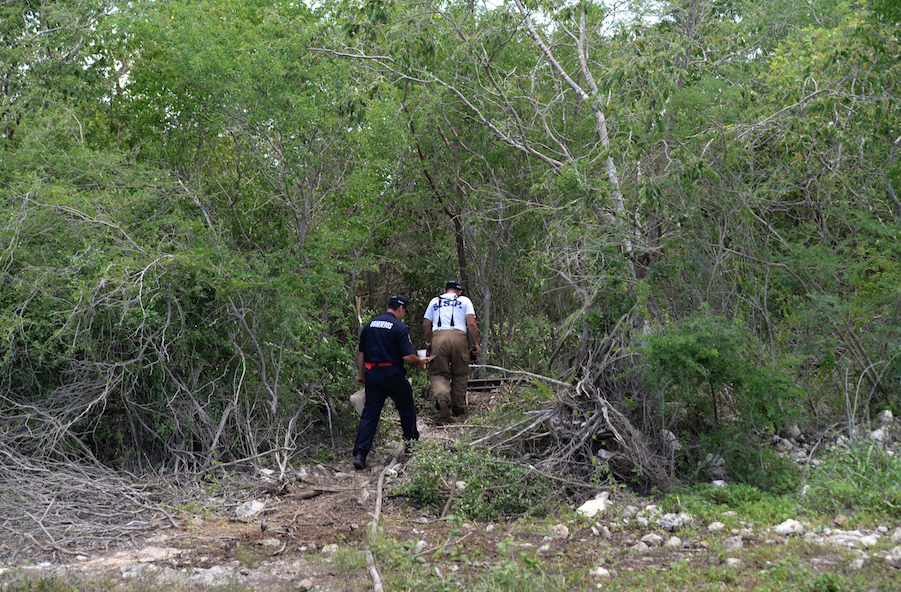 Captura de pantalla 2018 07 19 a la(s) 16.04.35