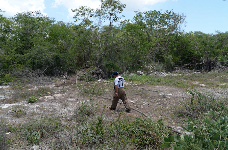 Captura de pantalla 2018 07 21 a la(s) 08.31.05