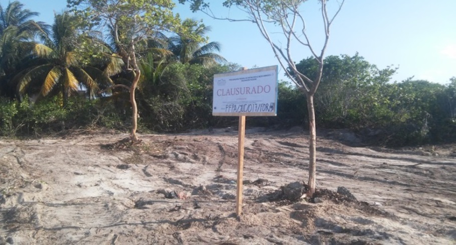 PROFEPA Clasura predios en Chuburná, Progremo, corte y quema 1 3 03jul18
