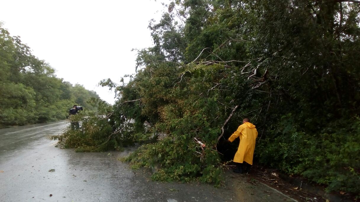 20707168 10203419815932872 1295934524 o