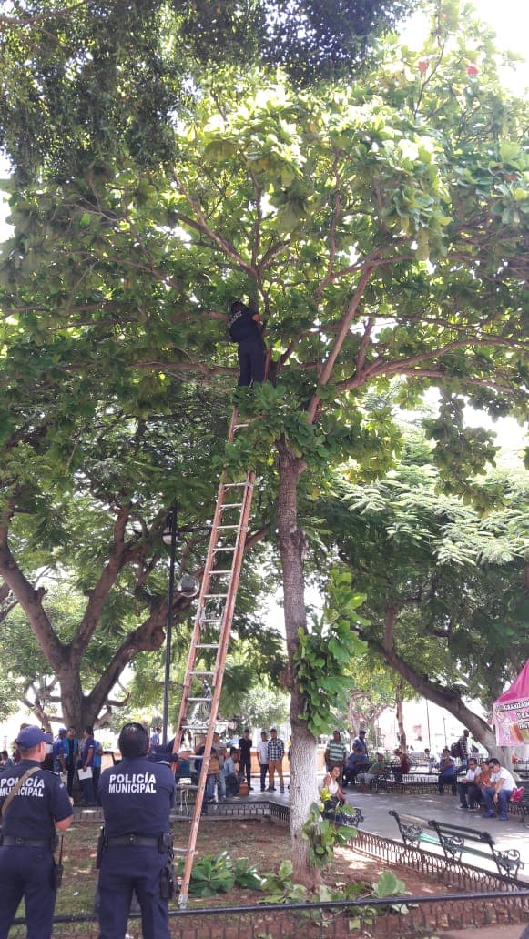 39397657 254988438460629 5166442286644461568 n