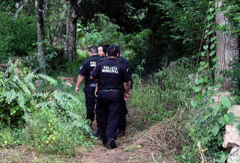 39940214 1419977381470348 4651234519670587392 n