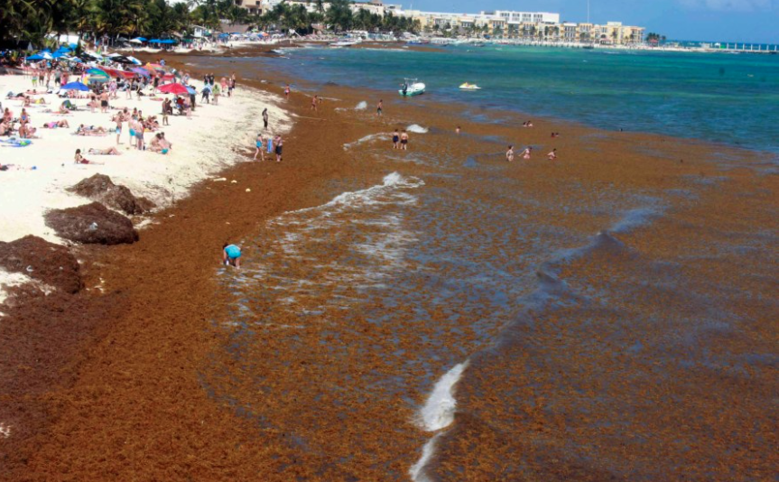 Captura de pantalla 2018 08 03 a la(s) 10.50.20