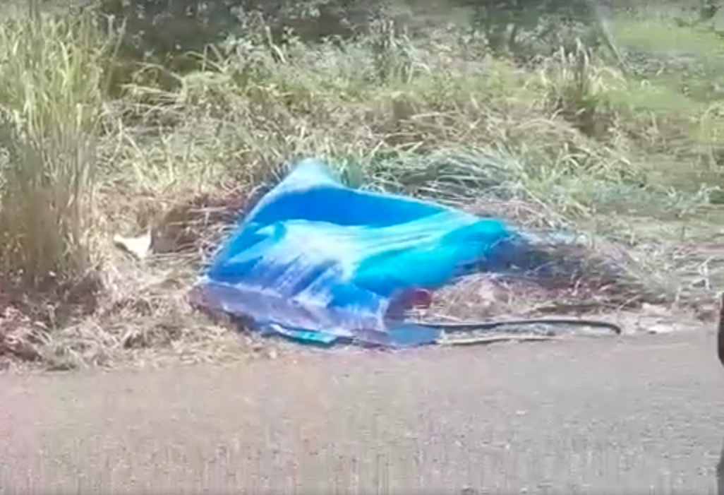 Captura de pantalla 2018 08 18 a la(s) 16.34.47