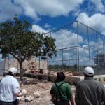 PROFEPA Tigres de bengala asegurados