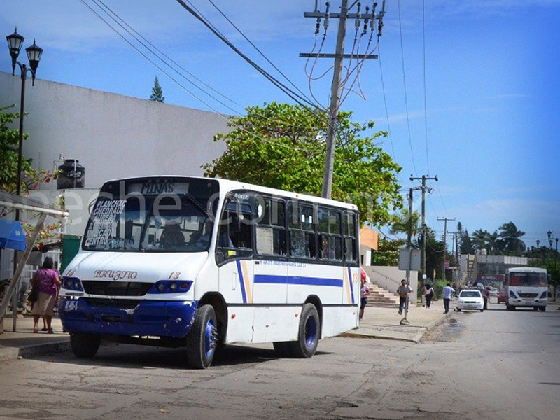 Volvieron circular urbanos