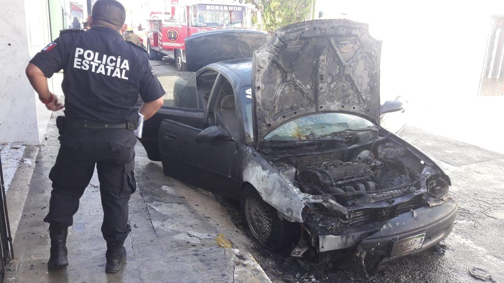 40604761 2099665050282847 1853546411363139584 n