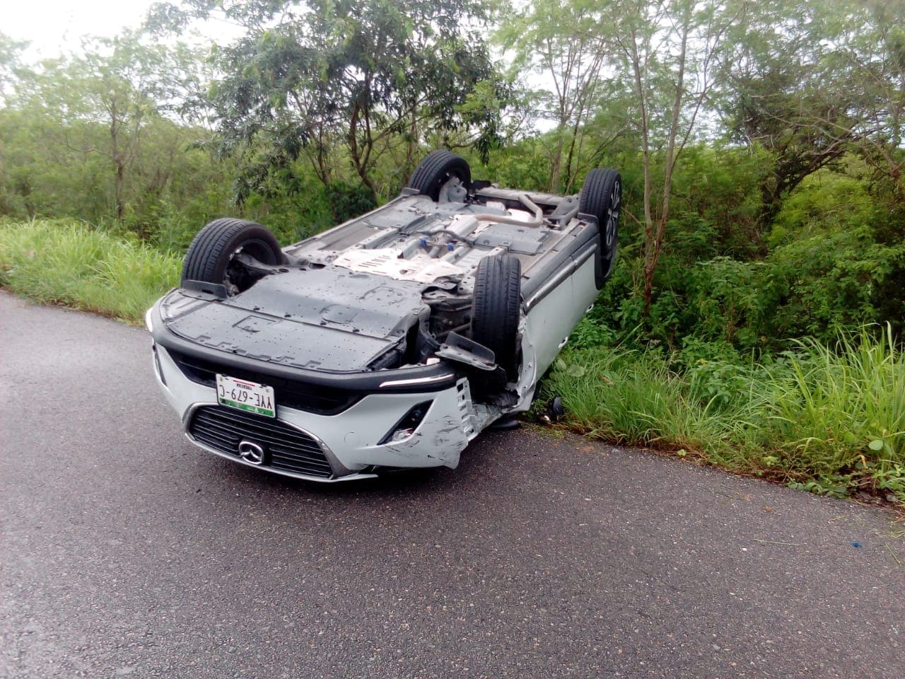 40784086 261930287785629 4214822493292068864 n