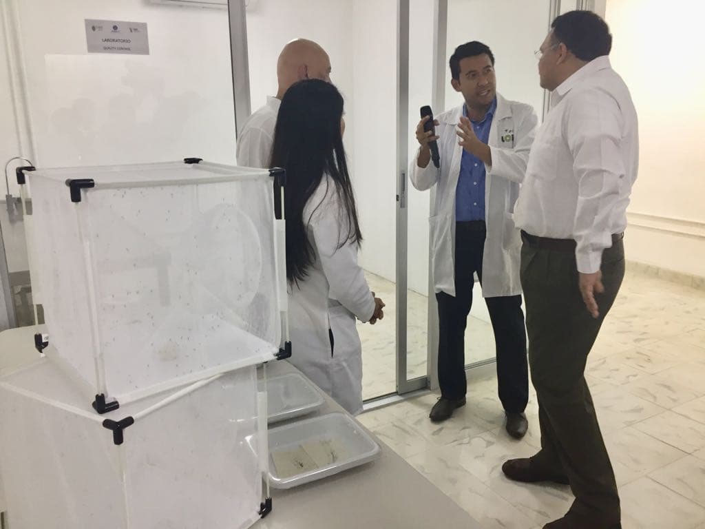 40912841 270104083608814 8900754284220514304 n