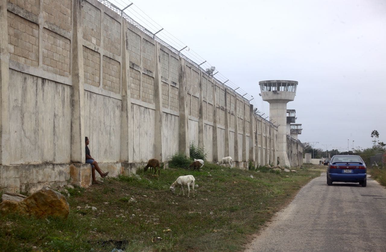 41004074 544630579326160 2226440638847516672 n