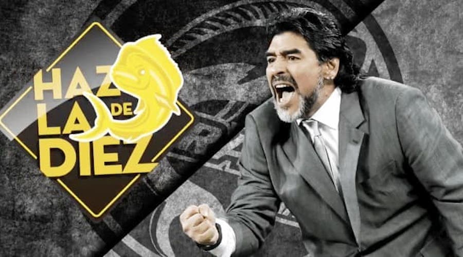 41210003 476691376179691 5053132803038773248 n