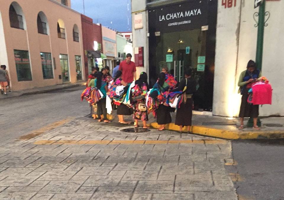 41298108 1889916041317405 4442893026305507328 n