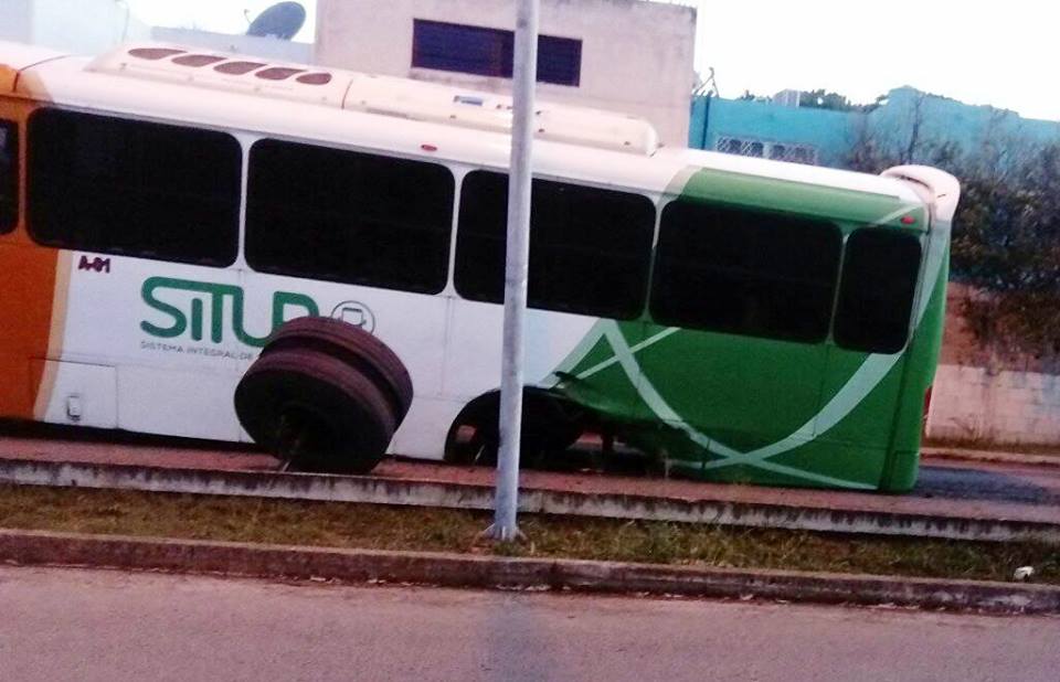 41513686 1873529072728238 1566798885555273728 n