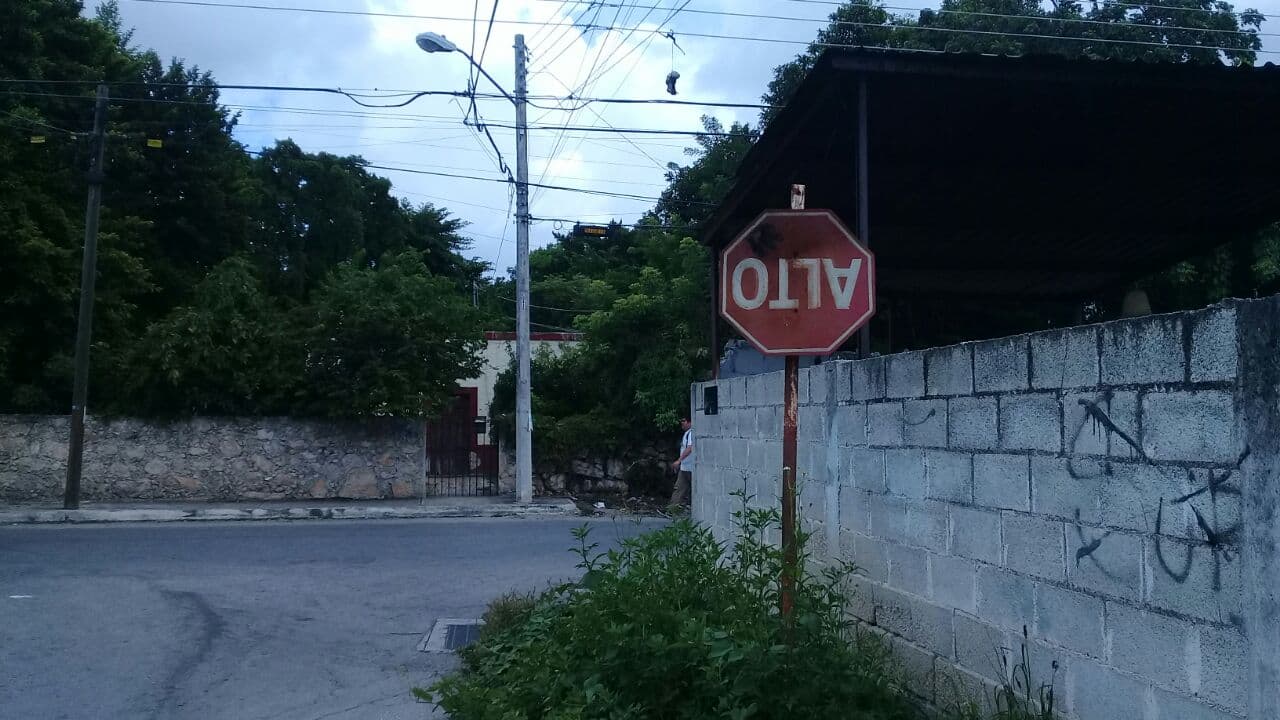 41778282 287468931983217 7680140989767352320 n