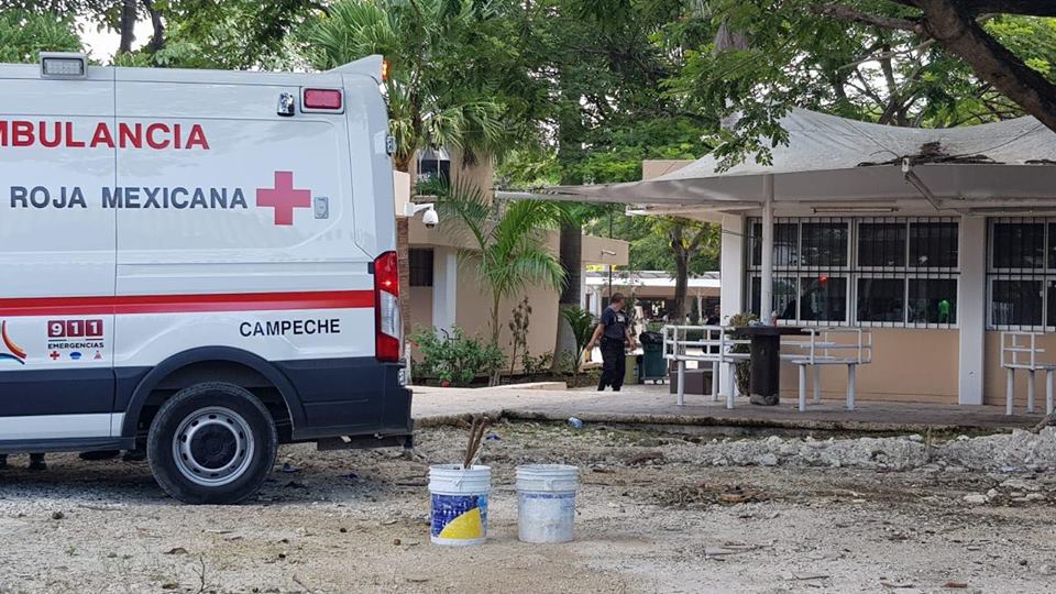 42058875 2072414346130622 8135138477801996288 n