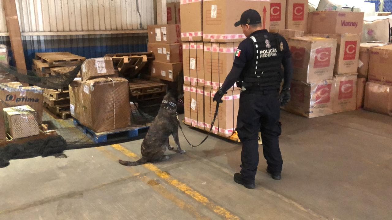 42134425 265835227370169 3671223635281969152 n