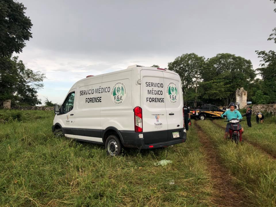 42190385 306145020168737 3597013489534631936 n