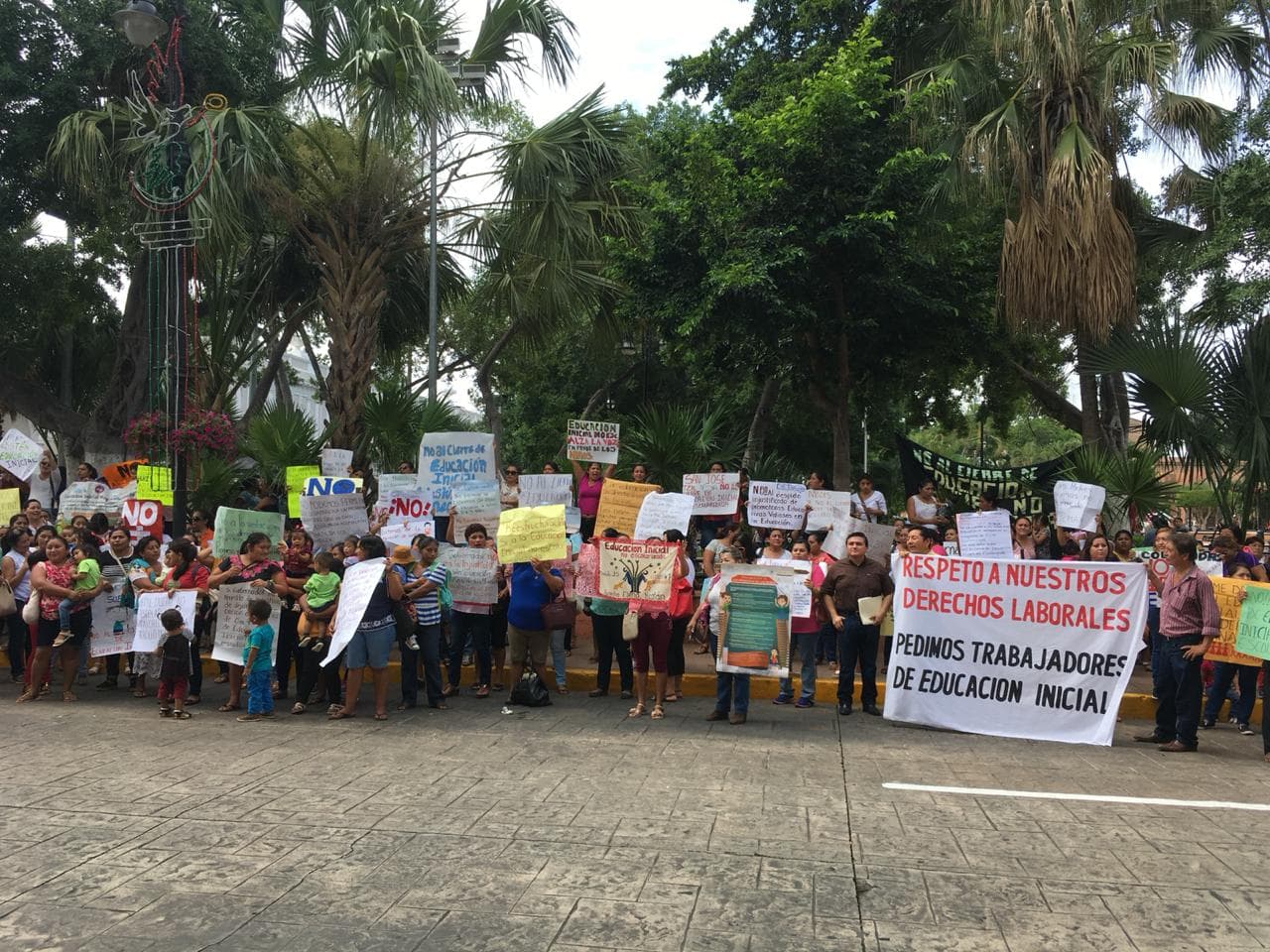 42193692 299285924202658 5706562813850288128 n