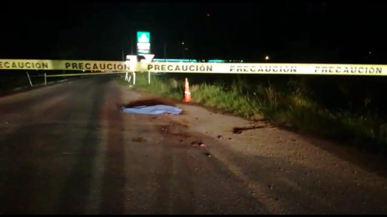 42221583 2288246794737116 1335901250448785408 n