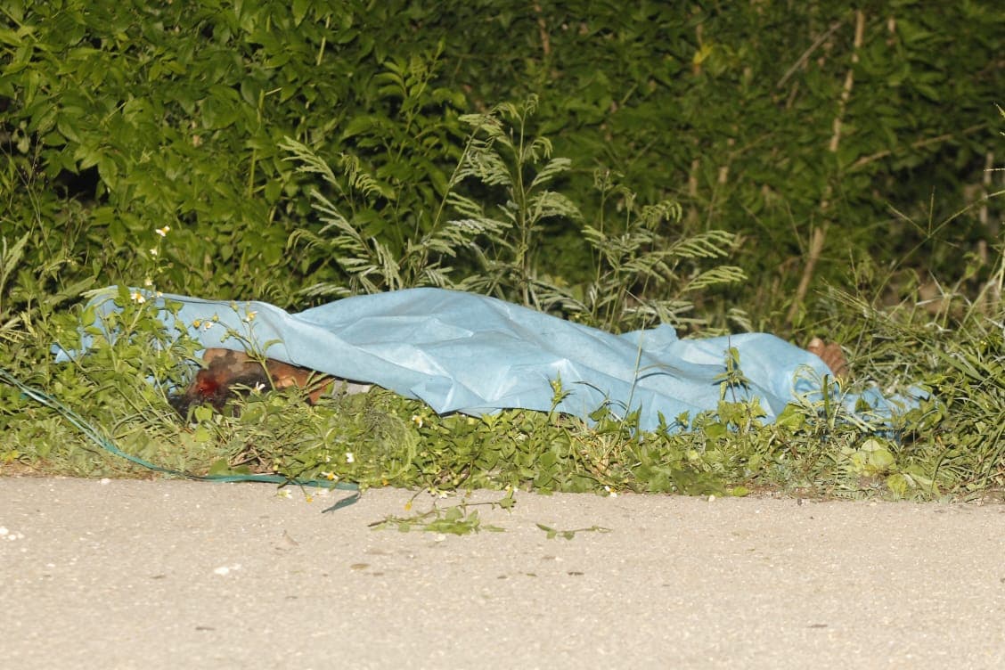 42430168 629572950771740 2917870106522419200 n