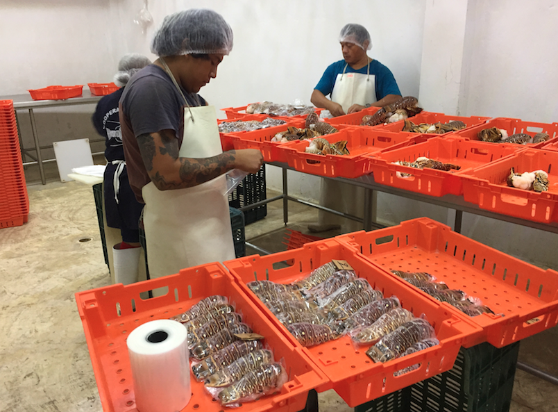 Captura de pantalla 2018 09 11 a la(s) 14.05.39