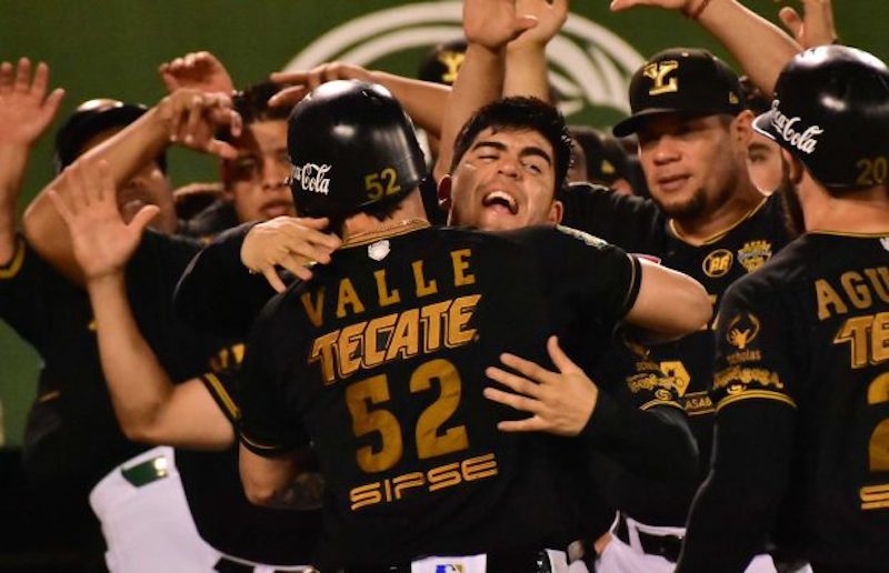 Saludo Melenudo 620x400