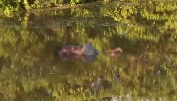 WhatsApp Image 2018 09 07 at 20.57.52