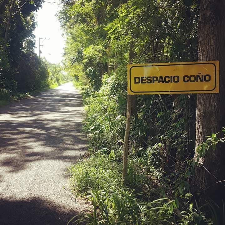 43083438 693291881041442 4106000825308938240 n