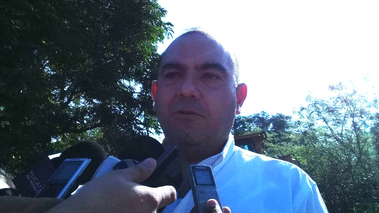 43146467 2235230620094870 7486582361518243840 n