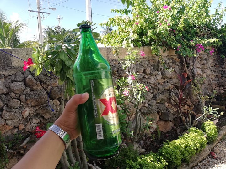 44023153 271917446783388 339003585444446208 n