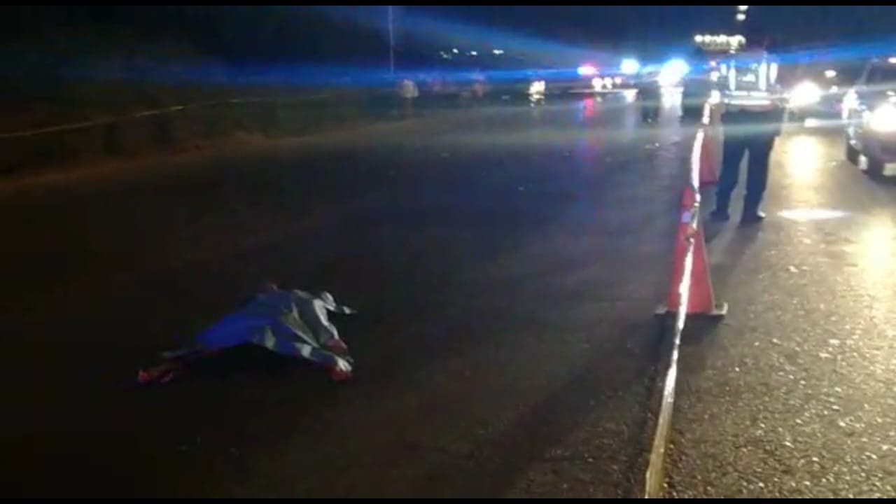 44052881 254214918601948 7526382822722895872 n