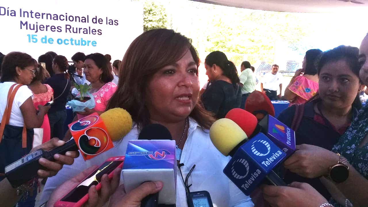 44065116 183710409125336 2436399183104573440 n