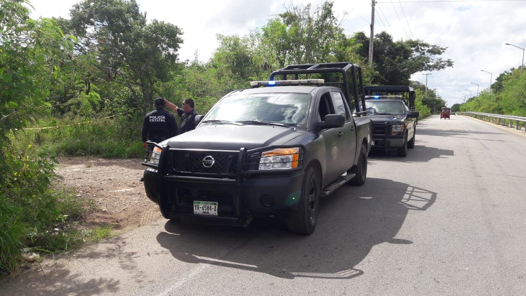 44091346 2114959592086847 5341610268659023872 n