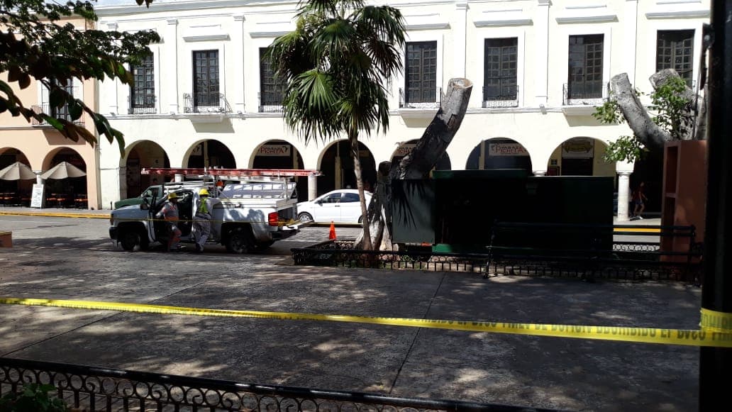 44327503 2202312653172651 592639889812488192 n