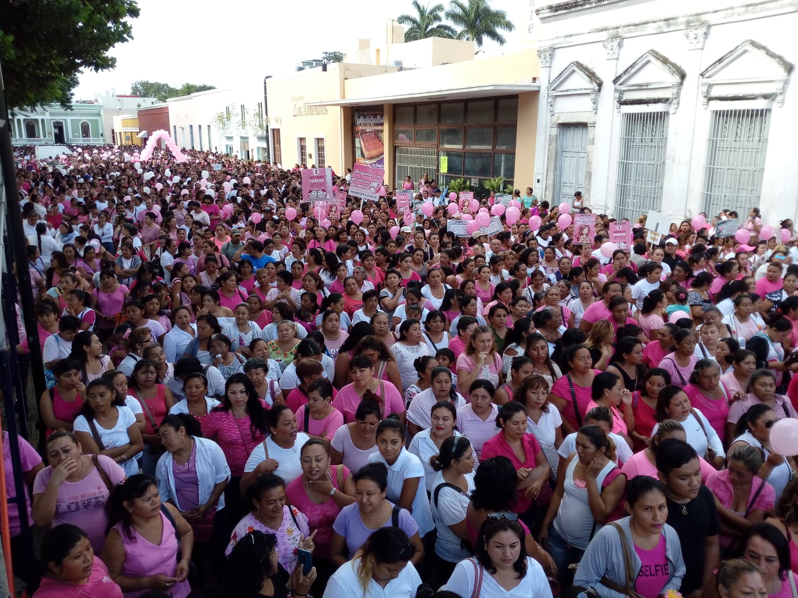 44361189 1802079279841780 477132778815619072 n