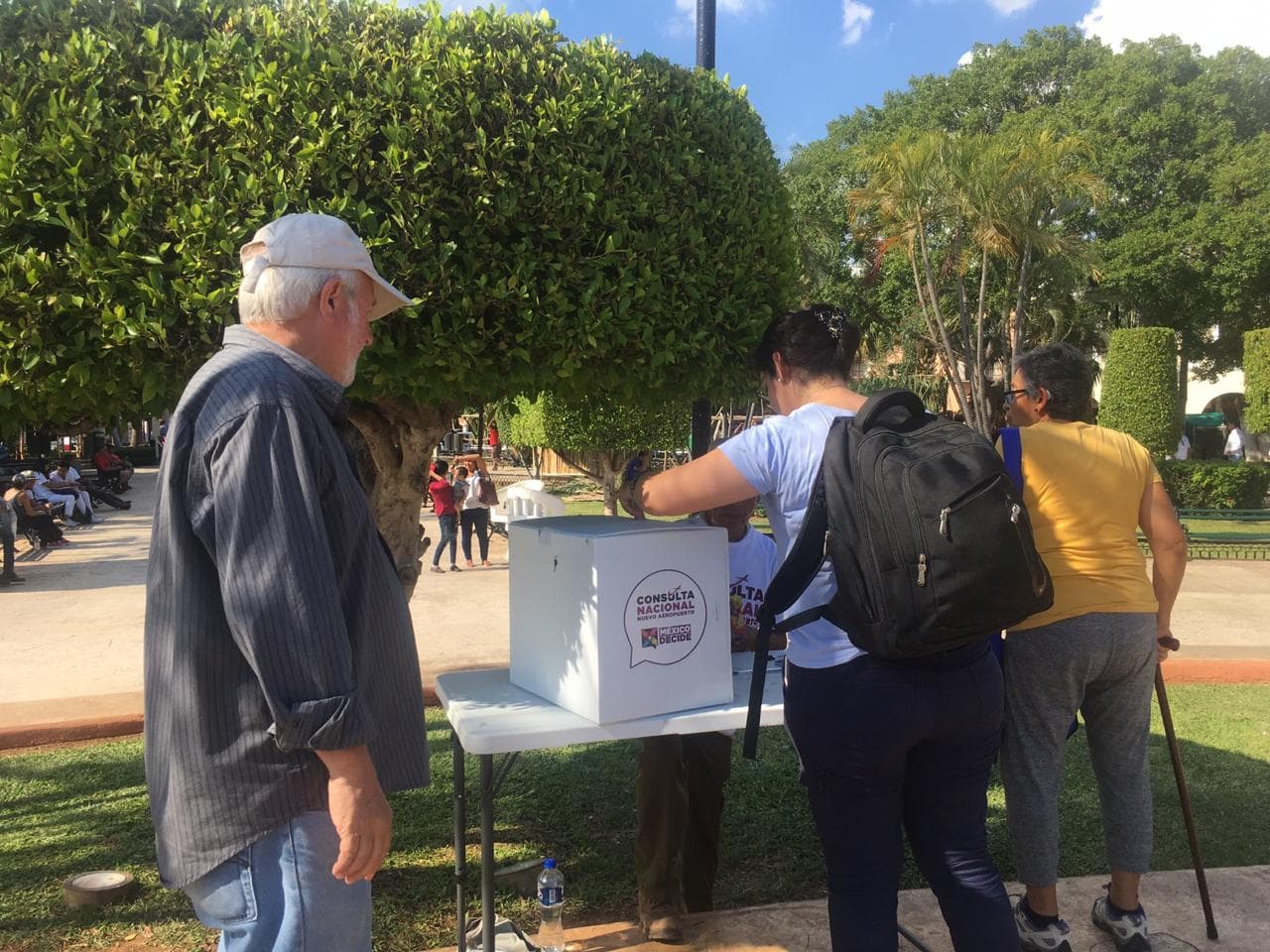 44807365 305686786920354 9178106706507333632 n