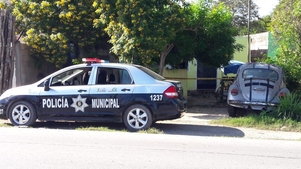 44866141 344959352934519 7433291871893323776 n