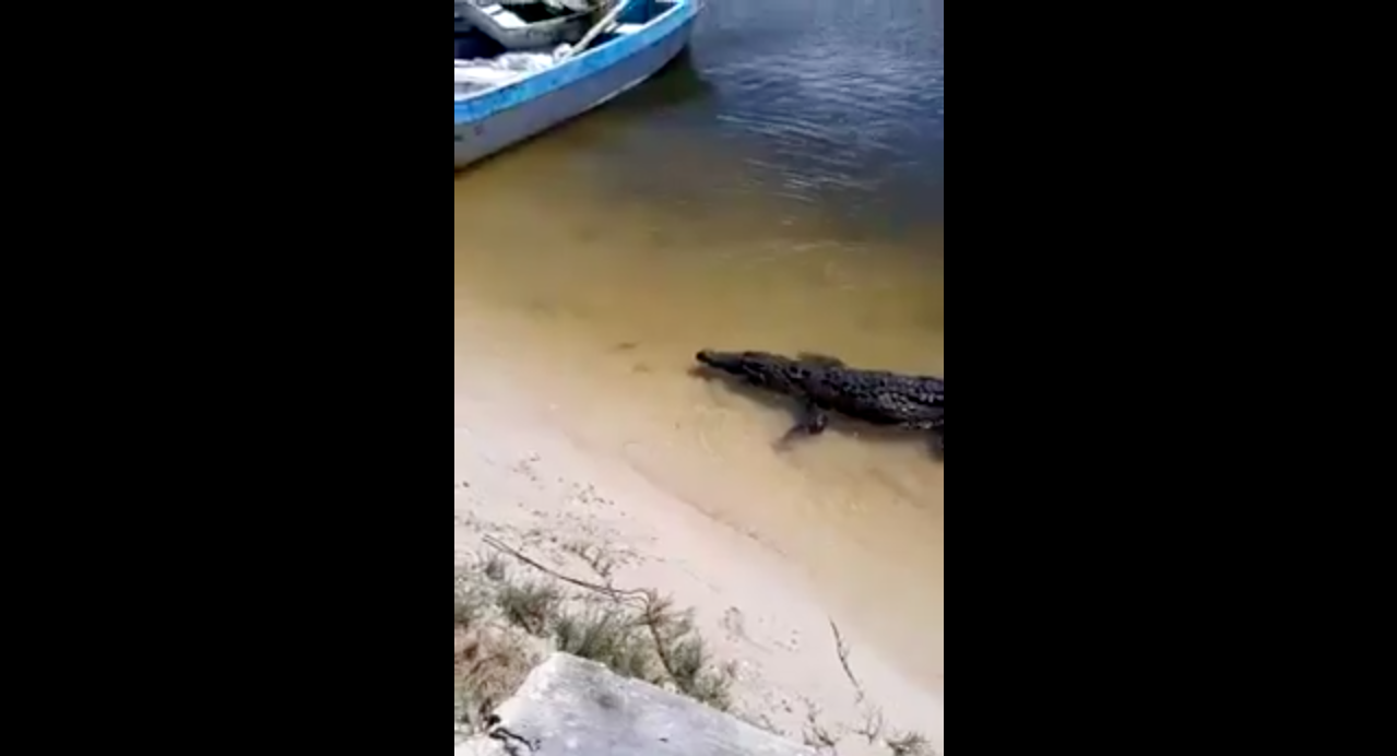 Captura de pantalla 2018 10 10 a la(s) 13.20.32