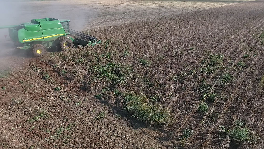 Cosecha y comercializacion de soya de Monsanto foto CCDMCH (4)