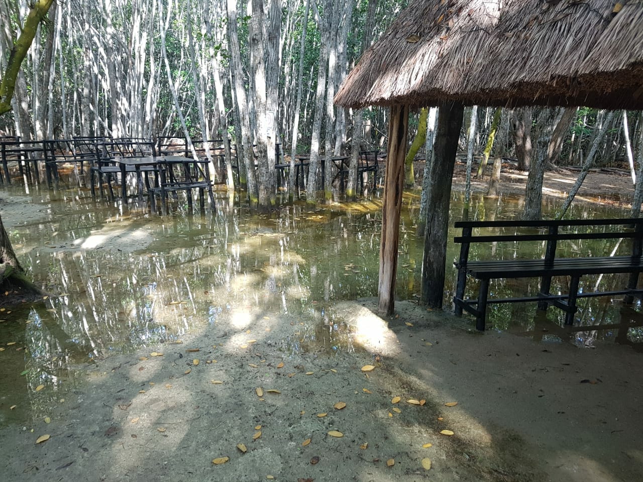 WhatsApp Image 2018 10 20 at 1.15.02 PM