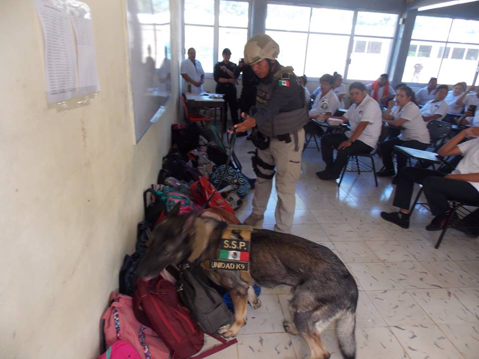 45221929 1931462250224395 6898719952807657472 n