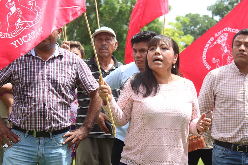 45333396 1944503195664504 8706707262355275776 n