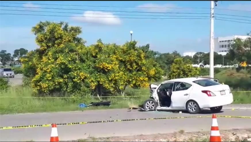 46067381 2079828355663519 2567489556437794816 n