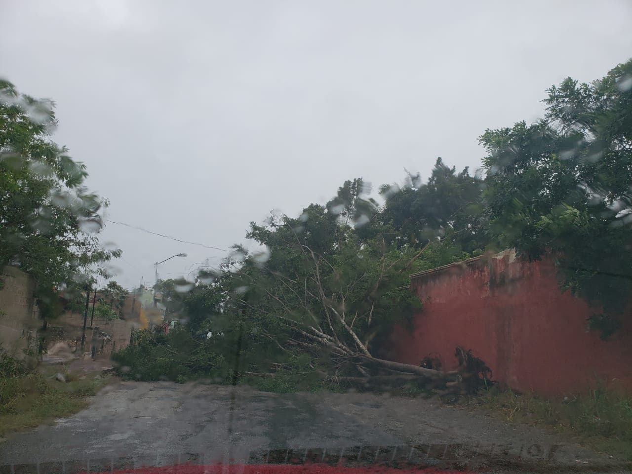 46130696 283711205682318 3329475144828583936 n